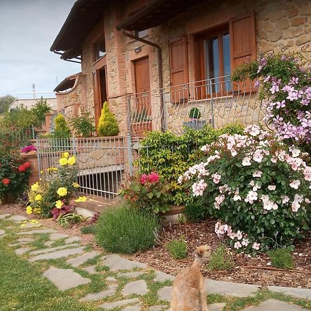 Olivo Bonsai Passignano sul Trasimeno Exterior foto