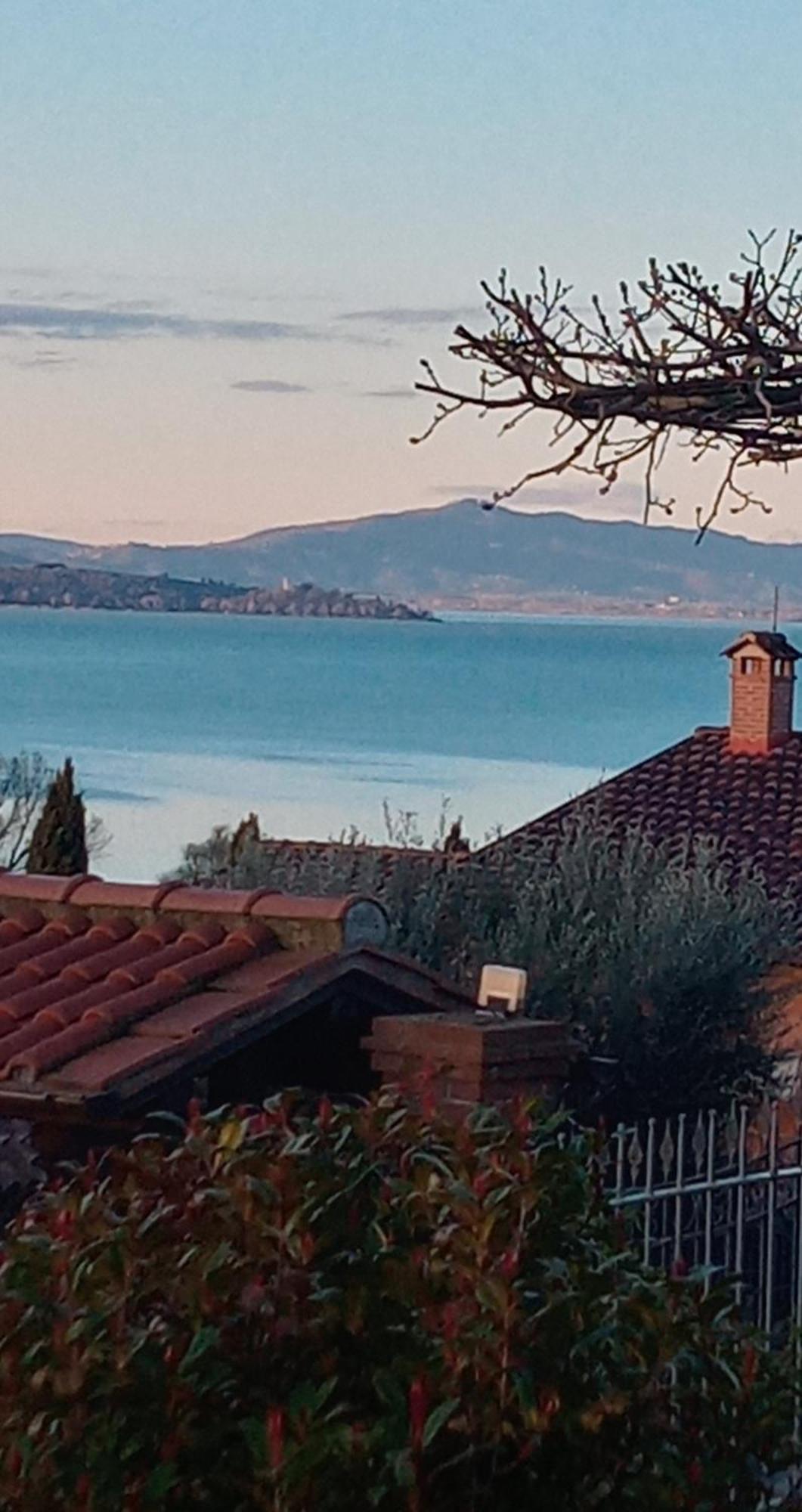 Olivo Bonsai Passignano sul Trasimeno Exterior foto